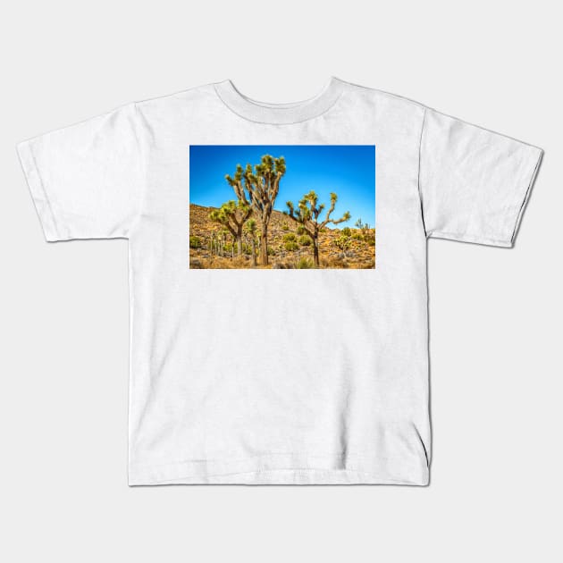 Joshua Tree National Park, California Kids T-Shirt by Gestalt Imagery